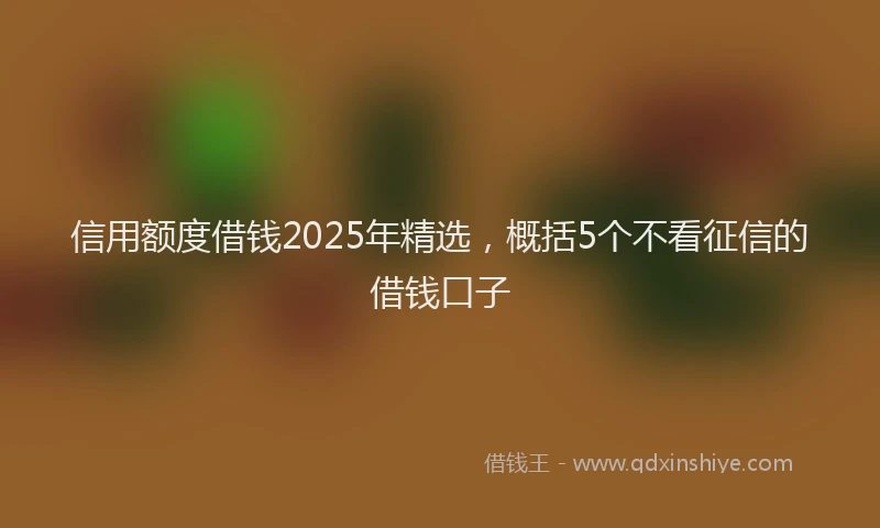 信用额度借钱2025年精选，概括5个不看征信的借钱口子