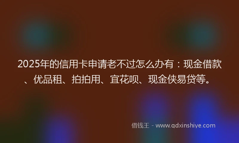 2025年的信用卡申请老不过怎么办有：现金借款、优品租、拍拍用、宜花呗、现金侠易贷等。
