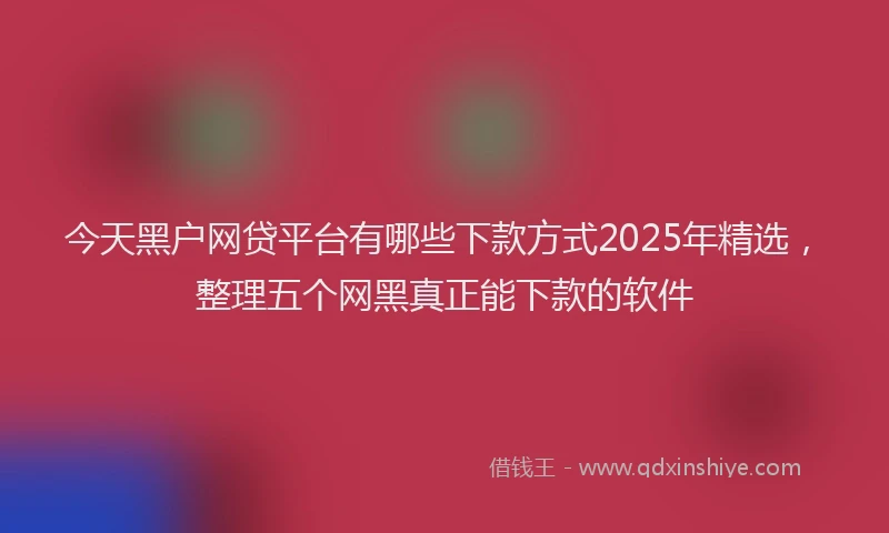 今天黑户网贷平台有哪些下款方式2025年精选，整理五个网黑真正能下款的软件