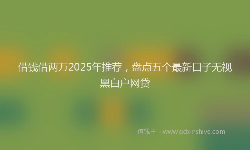 借钱借两万2025年推荐，盘点五个最新口子无视黑白户网贷