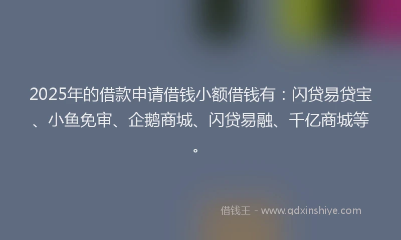 2025年的借款申请借钱小额借钱有：闪贷易贷宝、小鱼免审、企鹅商城、闪贷易融、千亿商城等。