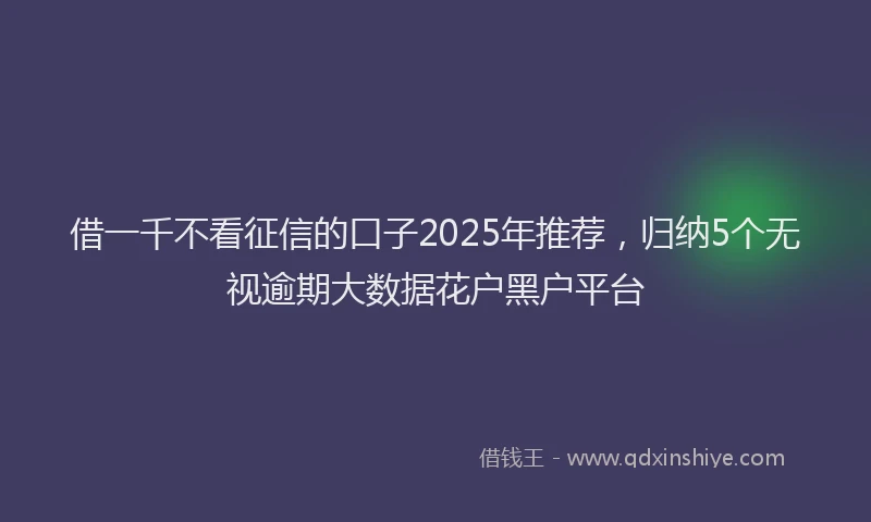 借一千不看征信的口子2025年推荐，归纳5个无视逾期大数据花户黑户平台