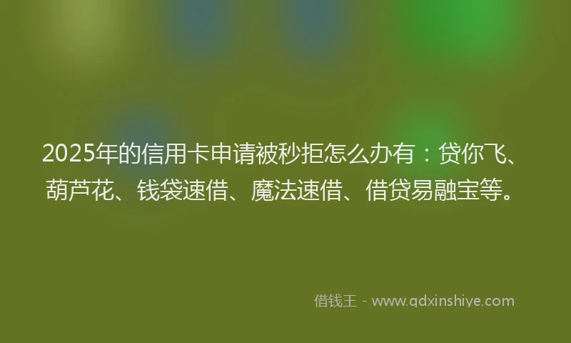 2025年的信用卡申请被秒拒怎么办有：贷你飞、葫芦花、钱袋速借、魔法速借、借贷易融宝等。