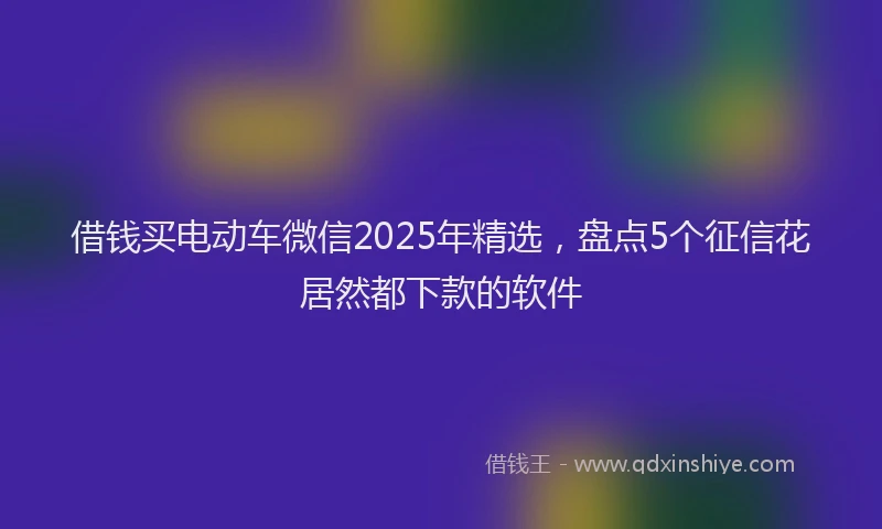 借钱买电动车微信2025年精选，盘点5个征信花居然都下款的软件