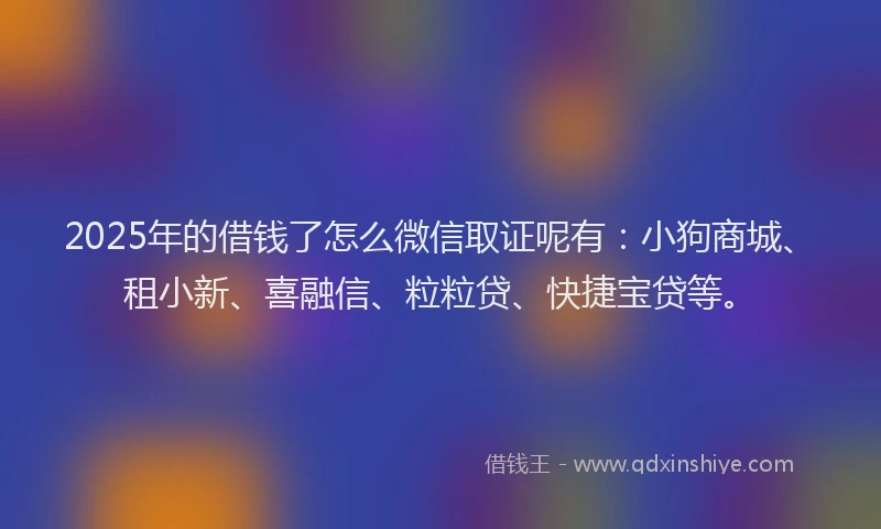 2025年的借钱了怎么微信取证呢有：小狗商城、租小新、喜融信、粒粒贷、快捷宝贷等。