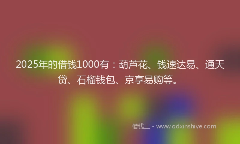 2025年的借钱1000有：葫芦花、钱速达易、通天贷、石榴钱包、京享易购等。