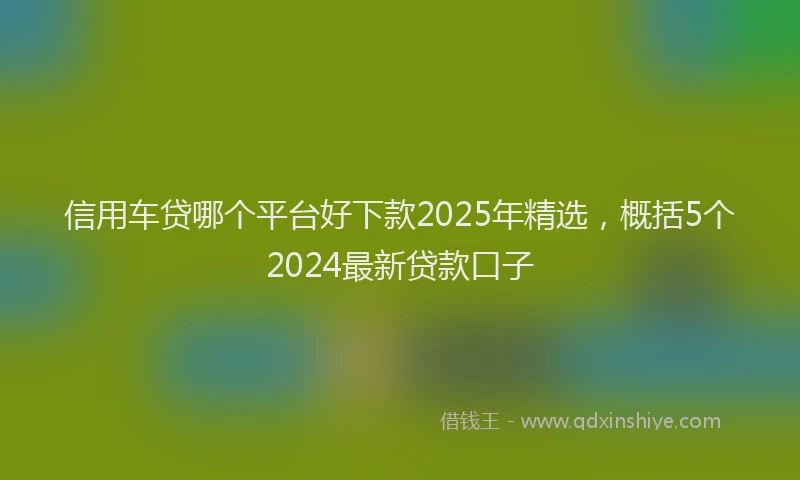 信用车贷哪个平台好下款2025年精选，概括5个2024最新贷款口子