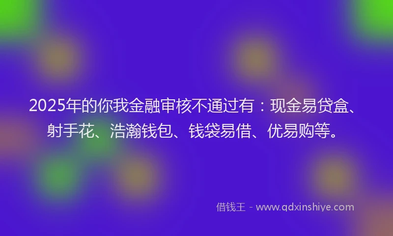 2025年的你我金融审核不通过有：现金易贷盒、射手花、浩瀚钱包、钱袋易借、优易购等。