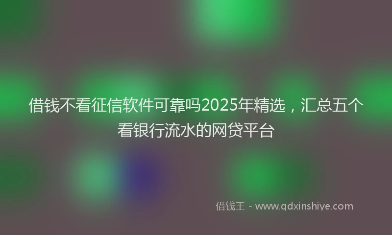 借钱不看征信软件可靠吗2025年精选，汇总五个看银行流水的网贷平台