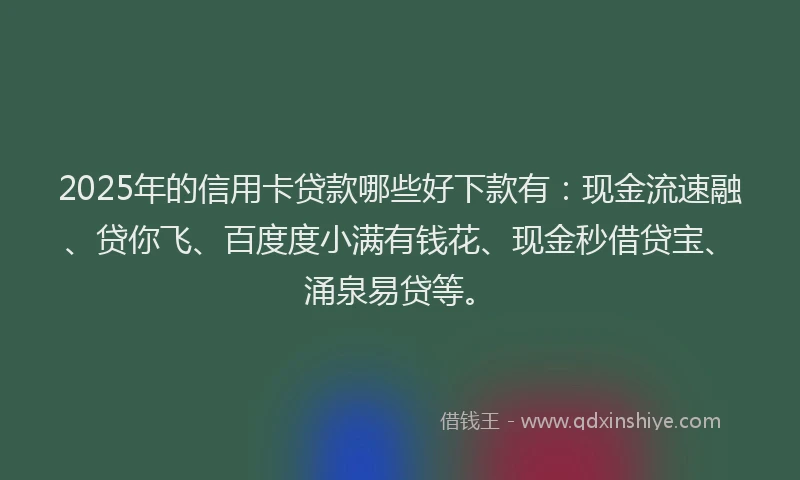 2025年的信用卡贷款哪些好下款有：现金流速融、贷你飞、百度度小满有钱花、现金秒借贷宝、涌泉易贷等。