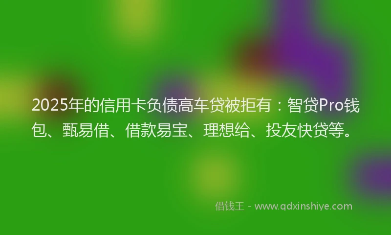 2025年的信用卡负债高车贷被拒有：智贷Pro钱包、甄易借、借款易宝、理想给、投友快贷等。