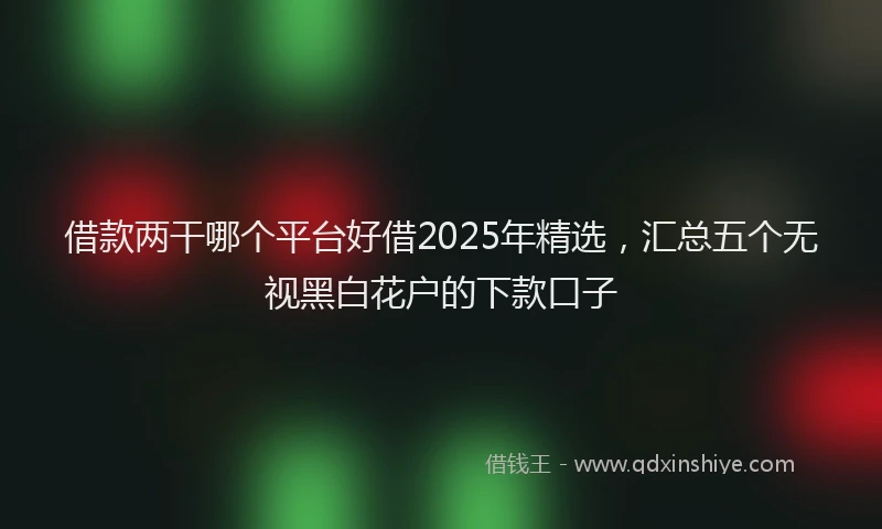 借款两干哪个平台好借2025年精选，汇总五个无视黑白花户的下款口子