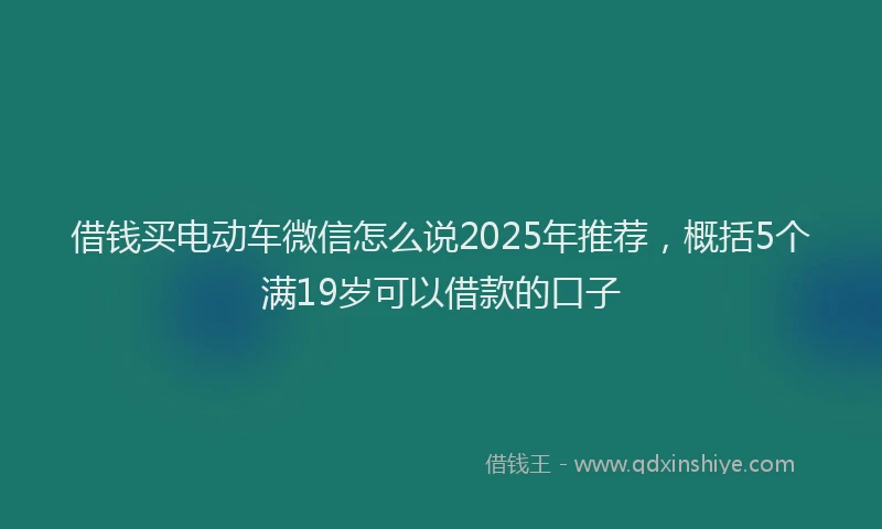 借钱买电动车微信怎么说2025年推荐，概括5个满19岁可以借款的口子