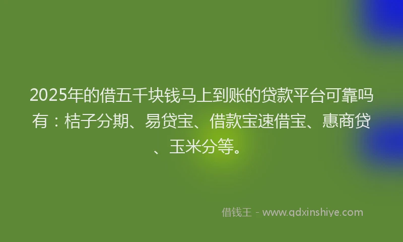 2025年的借五千块钱马上到账的贷款平台可靠吗有：桔子分期、易贷宝、借款宝速借宝、惠商贷、玉米分等。