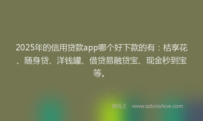 2025年的信用贷款app哪个好下款的有：桔享花、随身贷、洋钱罐、借贷易融贷宝、现金秒到宝等。