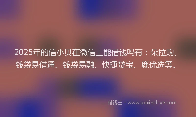 2025年的信小贝在微信上能借钱吗有：朵拉购、钱袋易借通、钱袋易融、快捷贷宝、鹿优选等。