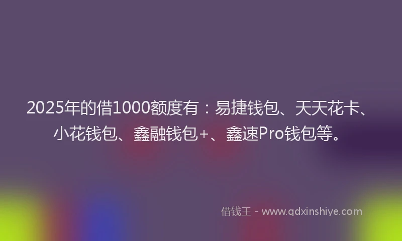 2025年的借1000额度有：易捷钱包、天天花卡、小花钱包、鑫融钱包+、鑫速Pro钱包等。