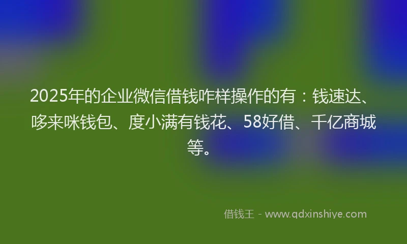 2025年的企业微信借钱咋样操作的有：钱速达、哆来咪钱包、度小满有钱花、58好借、千亿商城等。