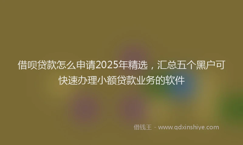 借呗贷款怎么申请2025年精选，汇总五个黑户可快速办理小额贷款业务的软件