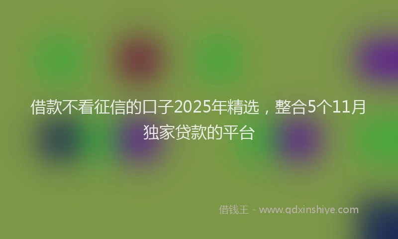 借款不看征信的口子2025年精选，整合5个11月独家贷款的平台