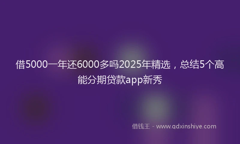 借5000一年还6000多吗2025年精选，总结5个高能分期贷款app新秀
