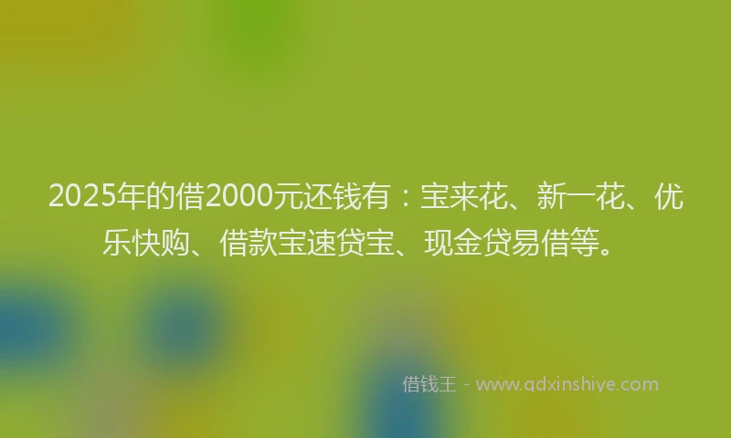 2025年的借2000元还钱有：宝来花、新一花、优乐快购、借款宝速贷宝、现金贷易借等。