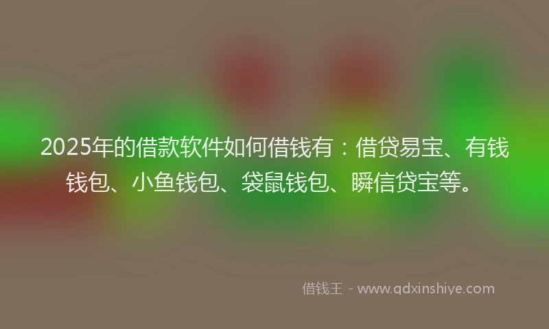 2025年的借款软件如何借钱有：借贷易宝、有钱钱包、小鱼钱包、袋鼠钱包、瞬信贷宝等。