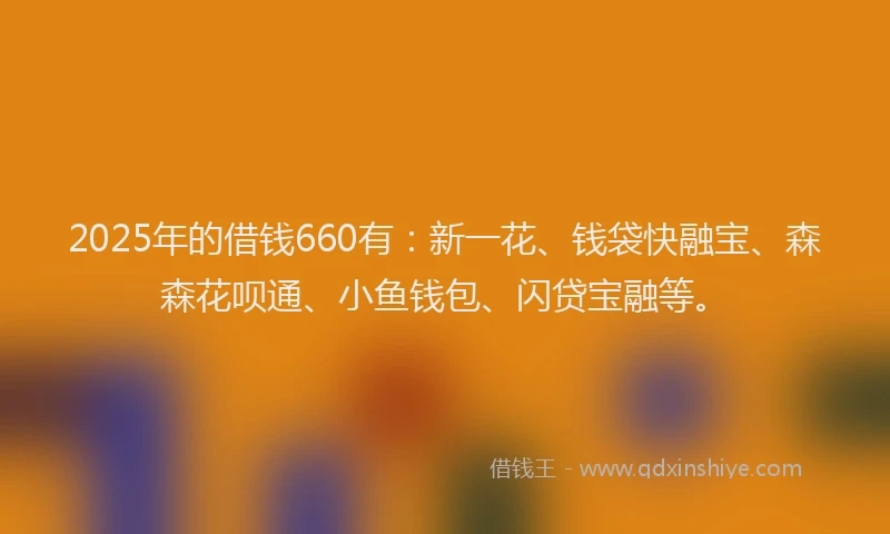 2025年的借钱660有：新一花、钱袋快融宝、森森花呗通、小鱼钱包、闪贷宝融等。