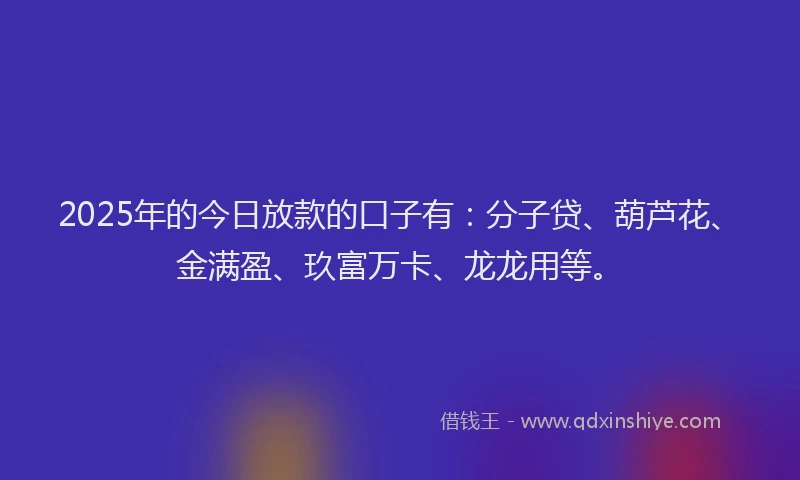 2025年的今日放款的口子有：分子贷、葫芦花、金满盈、玖富万卡、龙龙用等。