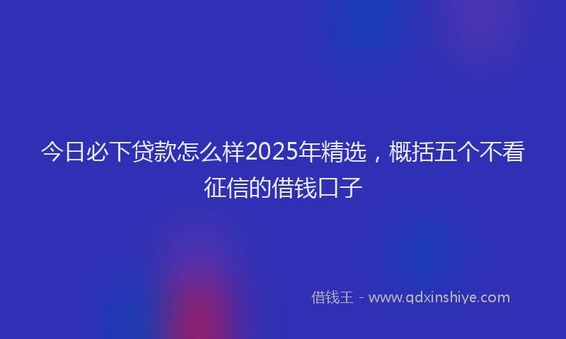 今日必下贷款怎么样2025年精选，概括五个不看征信的借钱口子