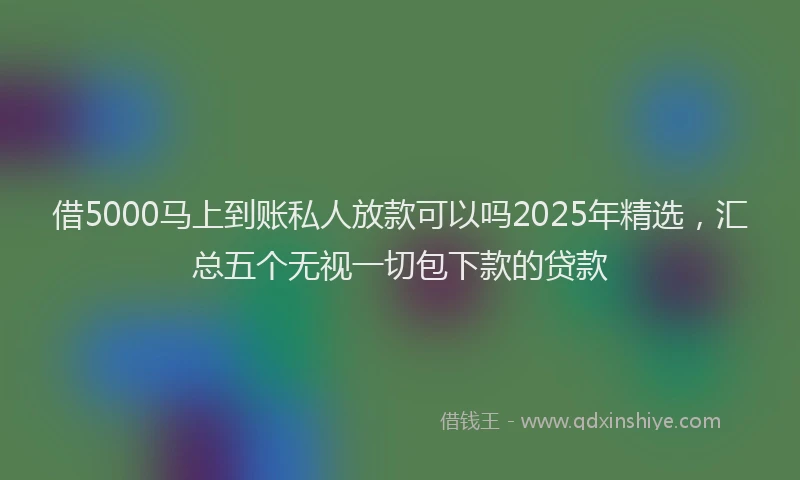 借5000马上到账私人放款可以吗2025年精选，汇总五个无视一切包下款的贷款