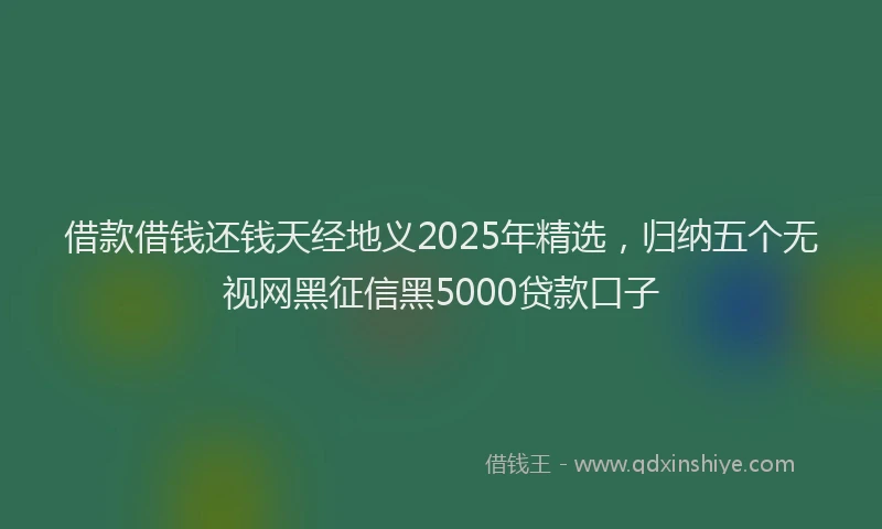 借款借钱还钱天经地义2025年精选，归纳五个无视网黑征信黑5000贷款口子