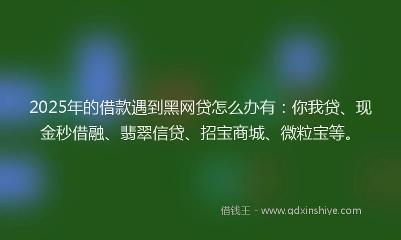 2025年的借款遇到黑网贷怎么办有：你我贷、现金秒借融、翡翠信贷、招宝商城、微粒宝等。