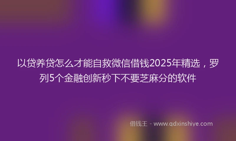 以贷养贷怎么才能自救微信借钱2025年精选，罗列5个金融创新秒下不要芝麻分的软件