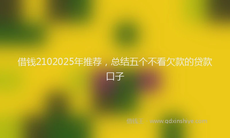 借钱2102025年推荐，总结五个不看欠款的贷款口子