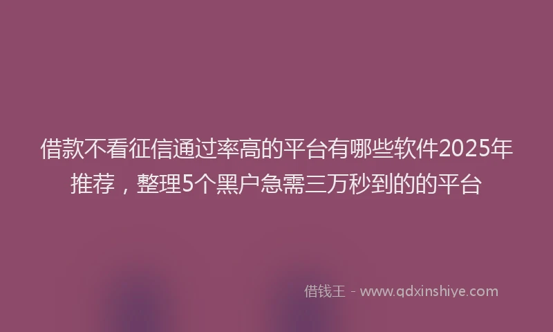 借款不看征信通过率高的平台有哪些软件2025年推荐，整理5个黑户急需三万秒到的的平台