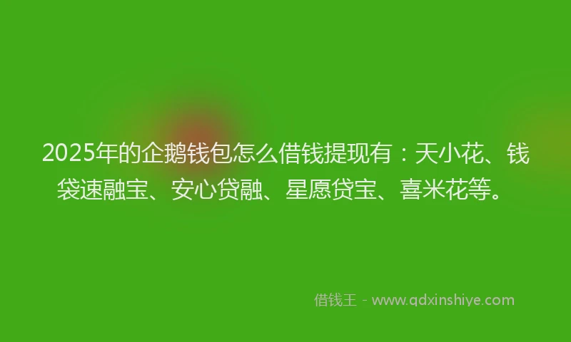 2025年的企鹅钱包怎么借钱提现有：天小花、钱袋速融宝、安心贷融、星愿贷宝、喜米花等。