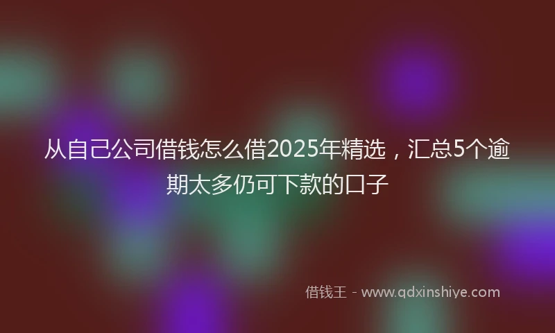 从自己公司借钱怎么借2025年精选，汇总5个逾期太多仍可下款的口子