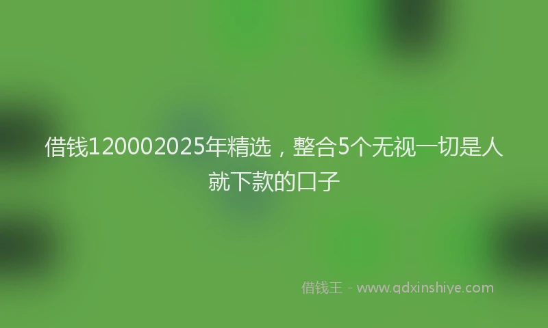 借钱120002025年精选，整合5个无视一切是人就下款的口子