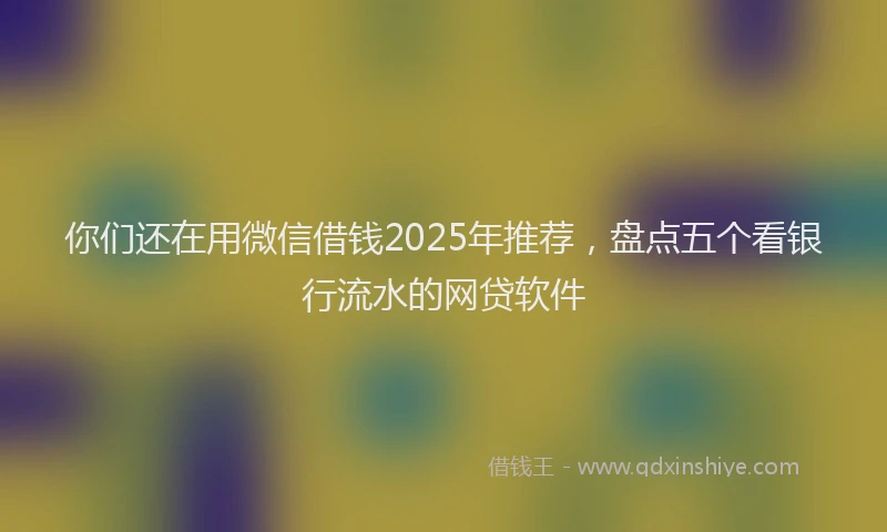 你们还在用微信借钱2025年推荐，盘点五个看银行流水的网贷软件