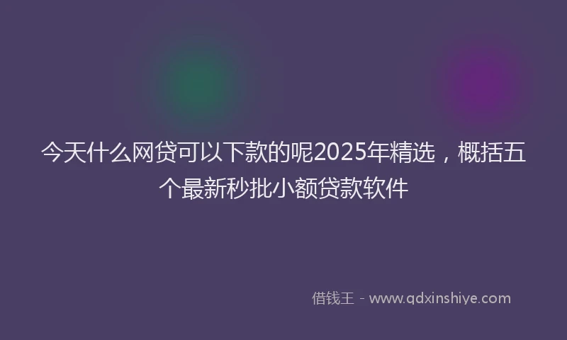今天什么网贷可以下款的呢2025年精选，概括五个最新秒批小额贷款软件