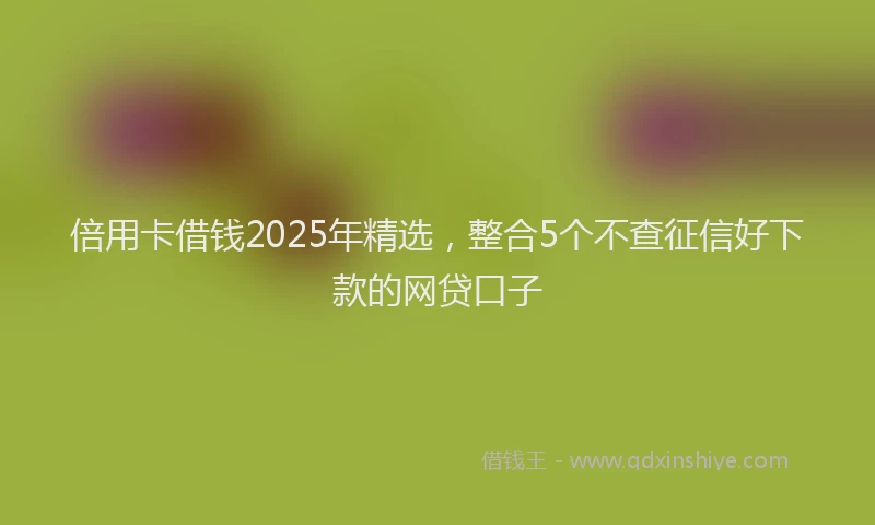 倍用卡借钱2025年精选，整合5个不查征信好下款的网贷口子