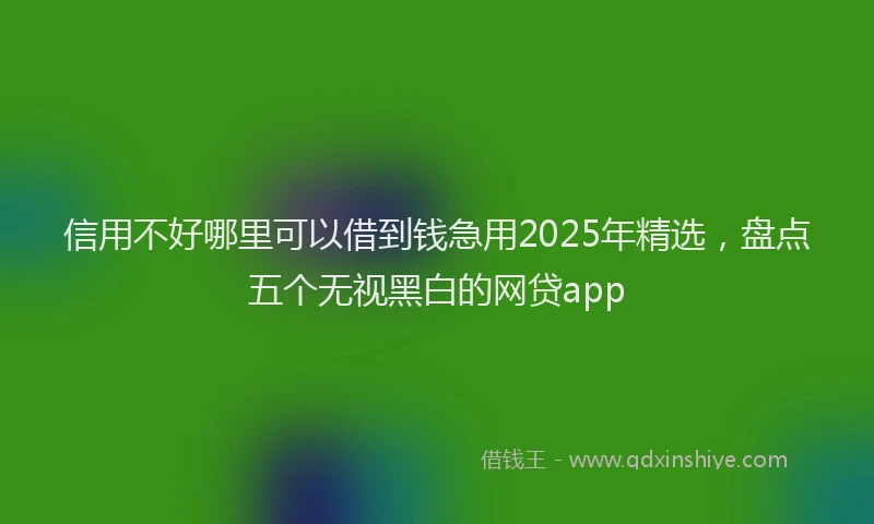 信用不好哪里可以借到钱急用2025年精选，盘点五个无视黑白的网贷app
