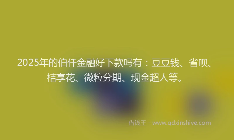 2025年的伯仟金融好下款吗有：豆豆钱、省呗、桔享花、微粒分期、现金超人等。