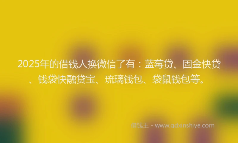 2025年的借钱人换微信了有：蓝莓贷、固金快贷、钱袋快融贷宝、琉璃钱包、袋鼠钱包等。