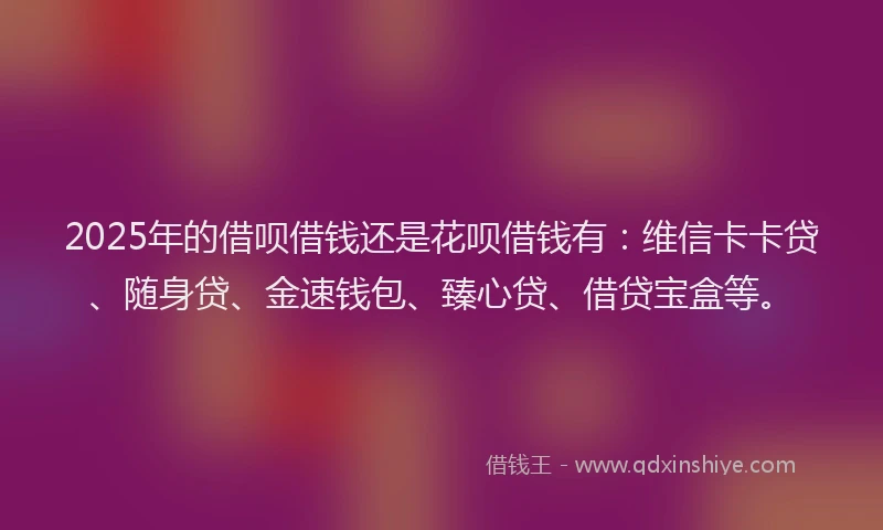 2025年的借呗借钱还是花呗借钱有：维信卡卡贷、随身贷、金速钱包、臻心贷、借贷宝盒等。