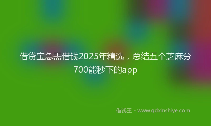 借贷宝急需借钱2025年精选，总结五个芝麻分700能秒下的app
