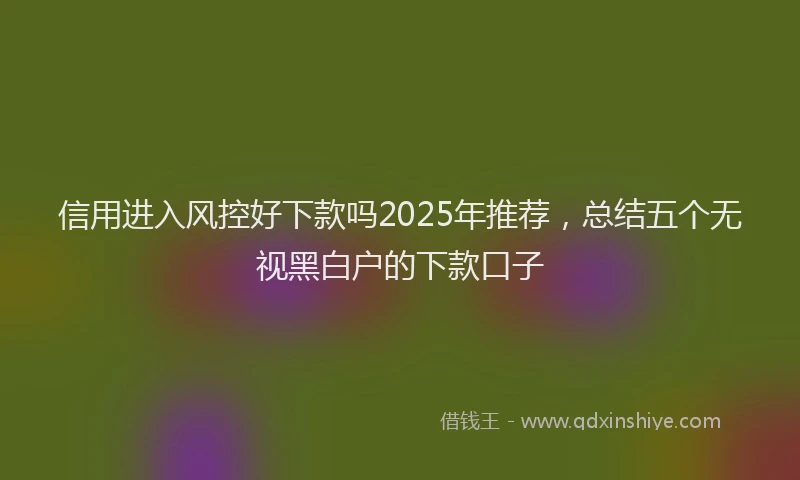 信用进入风控好下款吗2025年推荐，总结五个无视黑白户的下款口子
