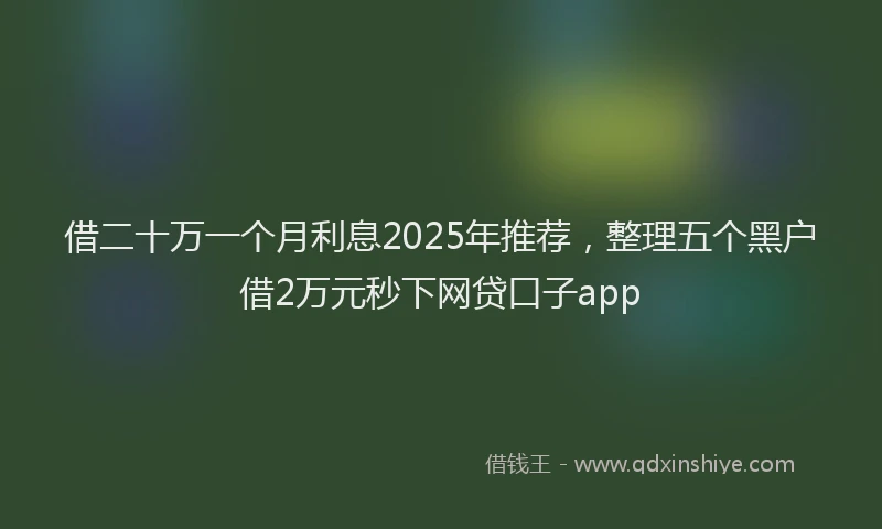 借二十万一个月利息2025年推荐，整理五个黑户借2万元秒下网贷口子app