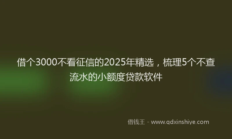 借个3000不看征信的2025年精选，梳理5个不查流水的小额度贷款软件